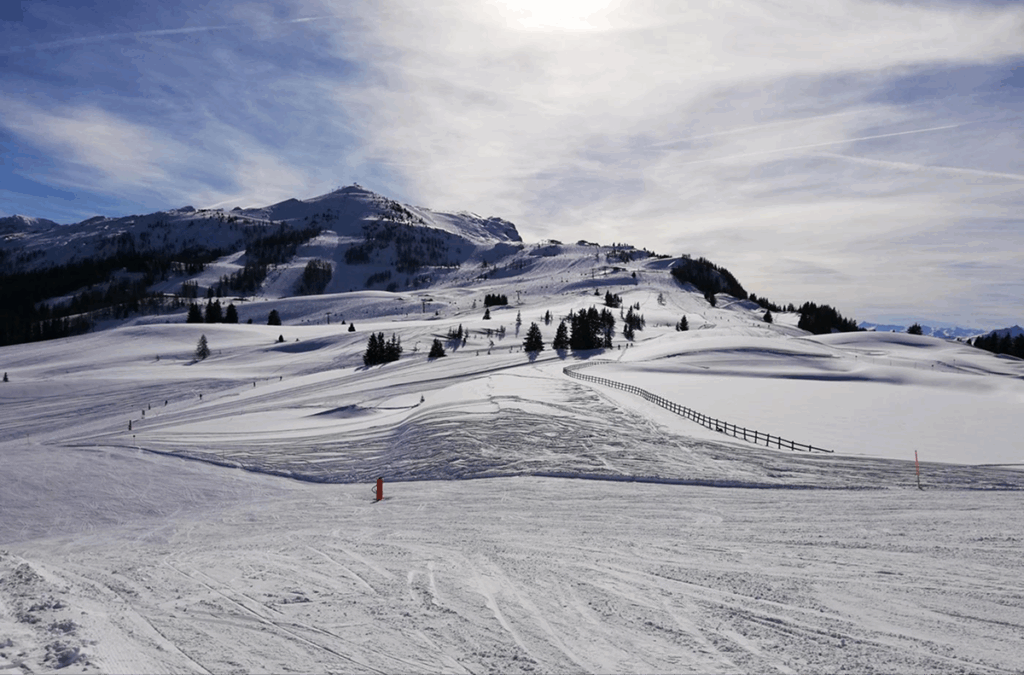 Skifahren-Entspannen-Ruhe-finden – Steinbergpark-in-Waidmannslust Ausflugsziele in Reinickendorf
